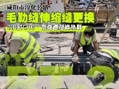 咸陽(yáng)淳化公路段多座橋梁伸